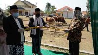 Penyerahan hewan kurban ke ponpes an Nawawi Tanara Banten