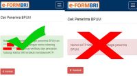 e-FORM BRI, BLT UMKM cair lagi